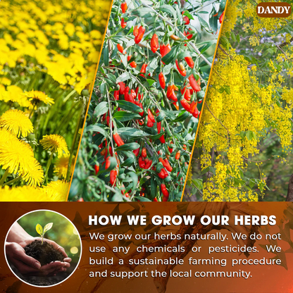 Dandelion Wolfberry Tea